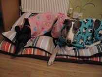 Bumsnet- you would be amazed at where we stick our thermometers to help us get our BFP's