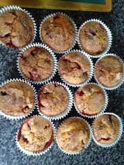 April 2015 - The babies are arriving thick and fast