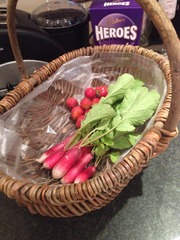 The 2015 Allotment / Veg Patch Thread Part 3 already!