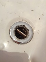 PigletJohn, would you like to look at this plughole? I'm sure you would.