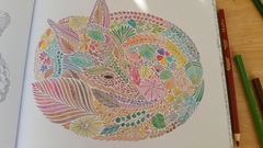 Adult colouring in books