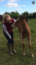 Foals - introducing Teddy, Rose and Howard