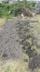 The 2015 Allotment / Veg Patch Thread Part 3 already!