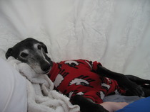 Bumsnet- you would be amazed at where we stick our thermometers to help us get our BFP's