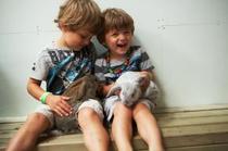 WIN a family day pass to Bocketts Farm
