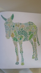 Adult colouring in books