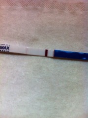 We may be rude, some call us crude, but noone can deny, when times get tough or you're feeling rough, on the Viroids you can rely.Among the laughs this bunch of dafts will pick you up each time -JS 48