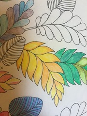 Adult colouring in books