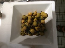 Olive it! Event feedback - plus non attendees - chance to win olive hamper worth £60! NOW CLOSED