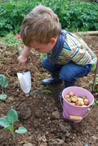 The 2015 Allotment / Veg Patch Thread Part 3 already!