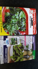 Can I plant these tomato seedlings straight outside now?