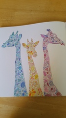 Adult colouring in books