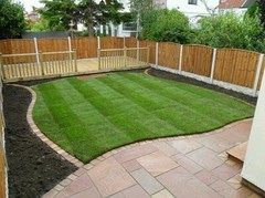 New garden - low budget
