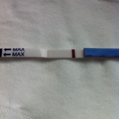 We may be rude, some call us crude, but noone can deny, when times get tough or you're feeling rough, on the Viroids you can rely.Among the laughs this bunch of dafts will pick you up each time -JS 48