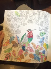 Adult colouring in books