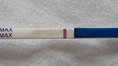 We may be rude, some call us crude, but noone can deny, when times get tough or you're feeling rough, on the Viroids you can rely.Among the laughs this bunch of dafts will pick you up each time -JS 48