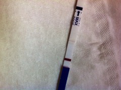 We may be rude, some call us crude, but noone can deny, when times get tough or you're feeling rough, on the Viroids you can rely.Among the laughs this bunch of dafts will pick you up each time -JS 48