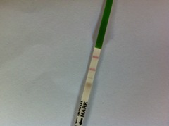 These be our very C's & our U's 'N our T's proudly JSing their way to poetic BFPs in #49.Together we Shall take off our robes (to shag),put on our crowns (to copulate);we have/immortal longings in us!