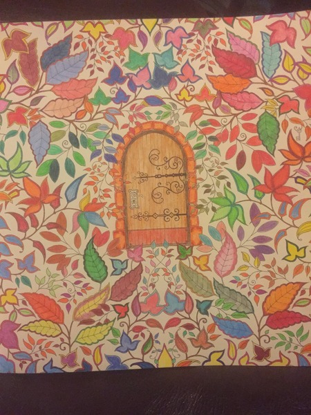 Adult colouring in books