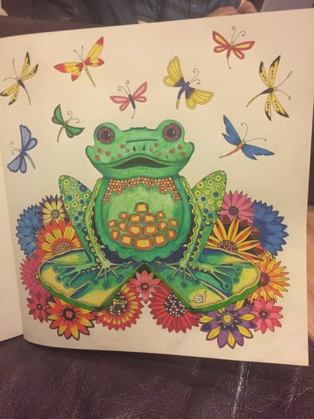 Adult colouring in books
