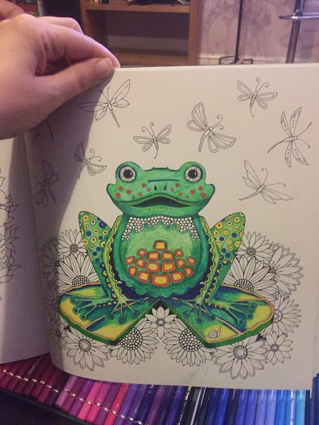 Adult colouring in books