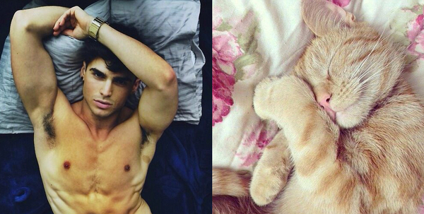 Swagger Inn Thread 102 - It's Raining HBF Musketeers (We Wish)