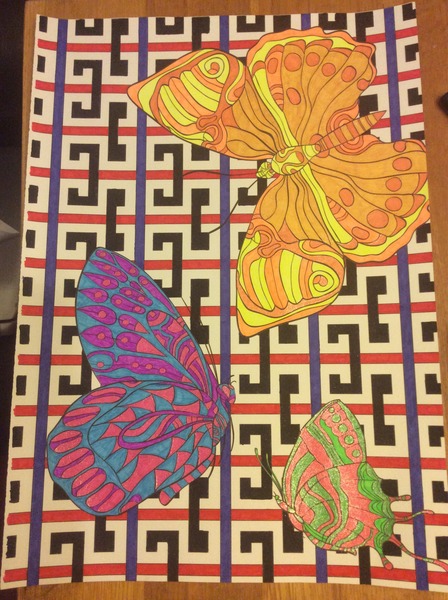 Adult colouring in books