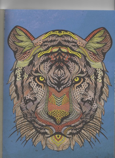 Adult colouring in books