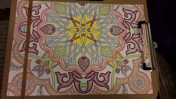 Adult colouring in books