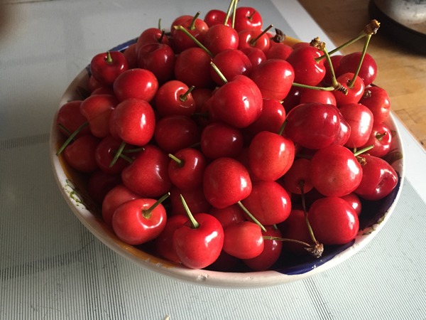 The 2015 Allotment / Veg Patch Thread Part 3 already!