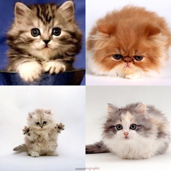 Swagger Inn Thread 104 - re-watch carnage requires new thread pronto!