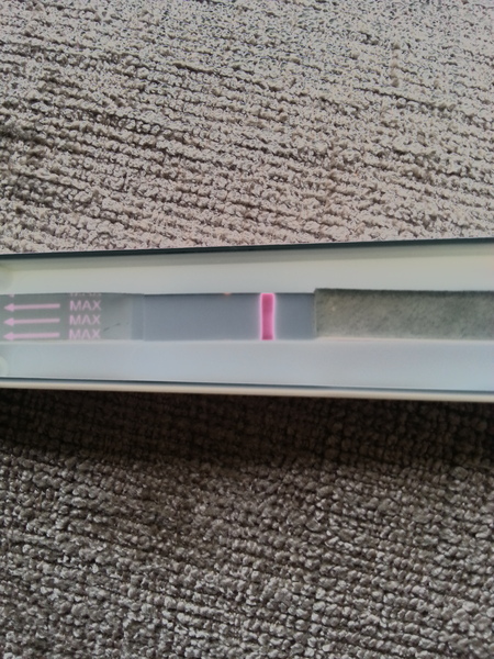 Pregnancy test results
