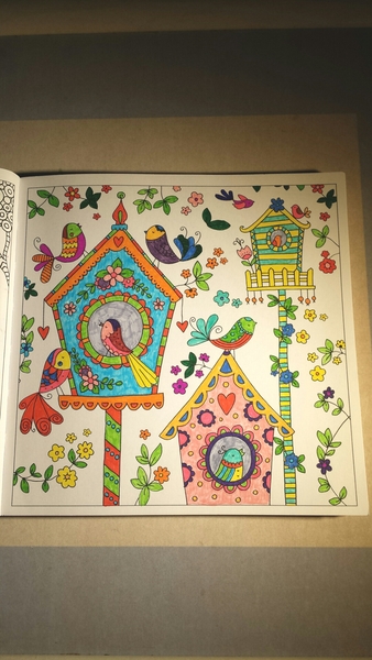 Adult colouring in books