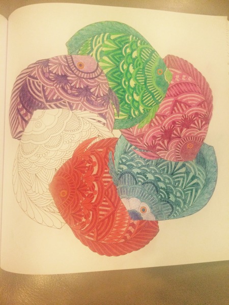 Adult colouring in books