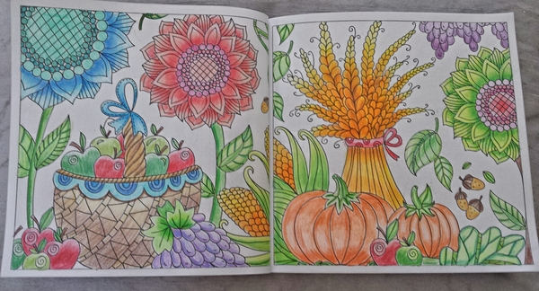 Adult colouring in books