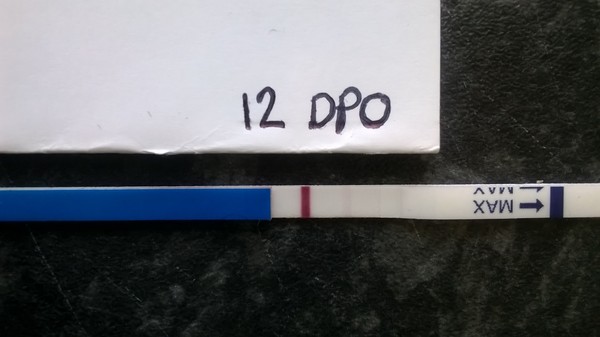 TTC after MC#6 - the lucky one for all of us!