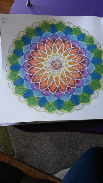 Adult colouring in books