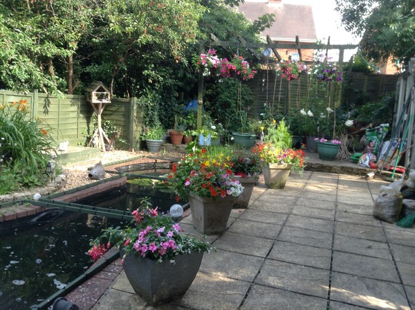 Support For Anyone That Has Lost A Parent