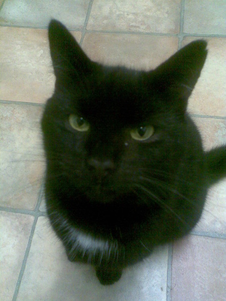 July Frugal thread, Just chatting and saving.