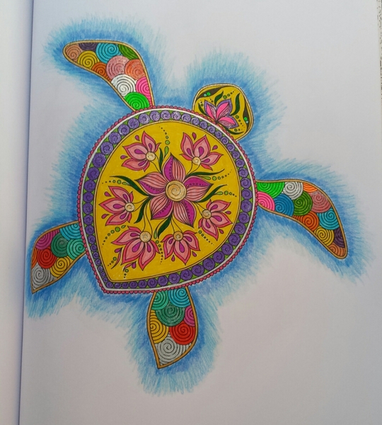 Adult colouring in books