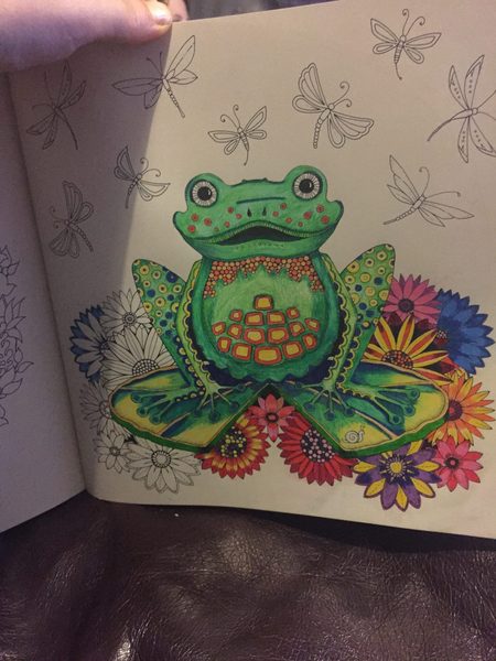 Adult colouring in books