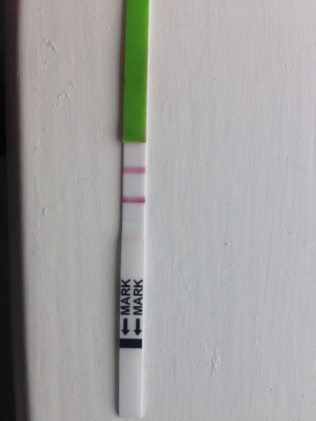 Would you be my Infertility/Clomid/Follicle tracking friend please?!