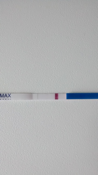 There was a viroid named Just, who was all wanton and lust. But her fanjo's a numpty, so she named it country, and they have a skittletits bust! It's JSing 50!!