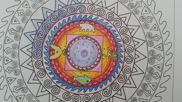 Adult colouring in books