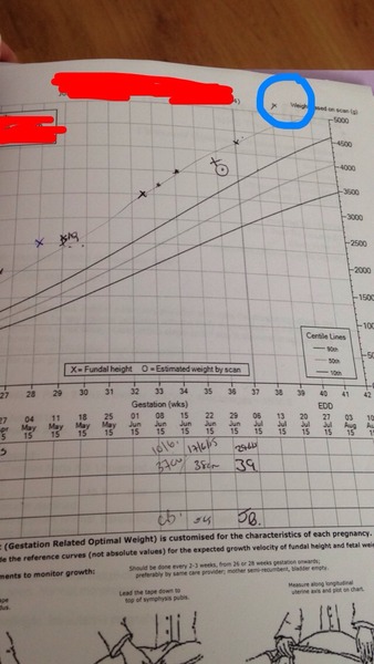 Bump measurements