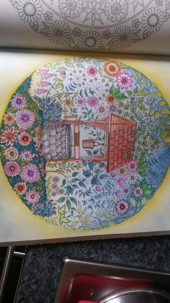 Adult colouring in books