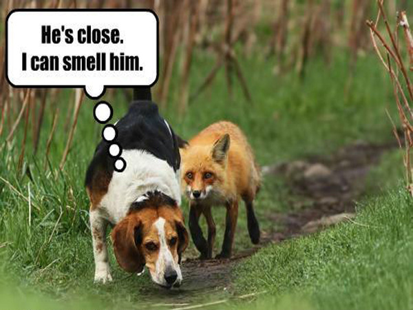 Stinky Smoking Colleague