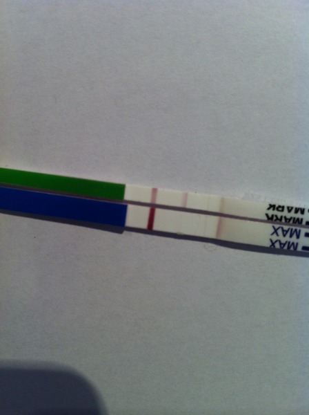 There was a viroid named Just, who was all wanton and lust. But her fanjo's a numpty, so she named it country, and they have a skittletits bust! It's JSing 50!!
