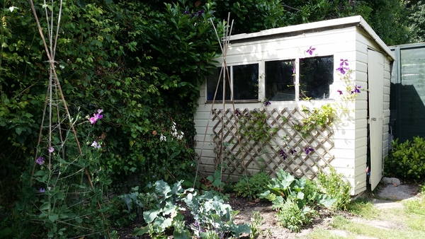 Rough winds do shake the darling buds of May: Alternative potting shed thread