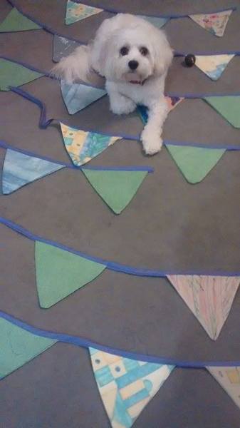 We're peeing over pineapples because we ran out of sticks, but staring at lines is how we get our kicks! Fred 50 was lucky with 6 BFPs, and lots of grads are about to do babies! We are Just Shaggin 51